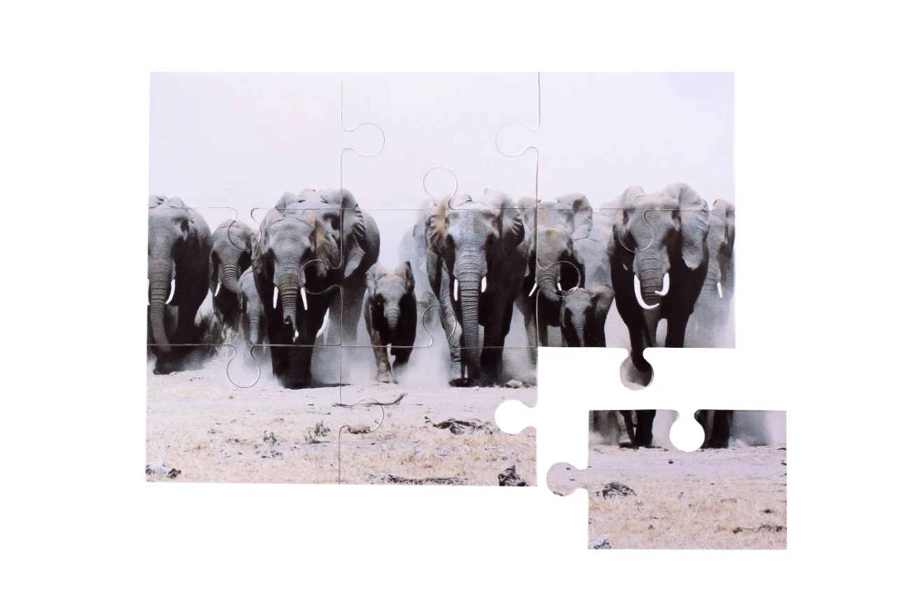 9 Piece Photo Puzzle -A5 Size - Image 2