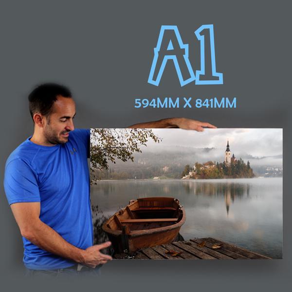 Large A1 size - Image 2