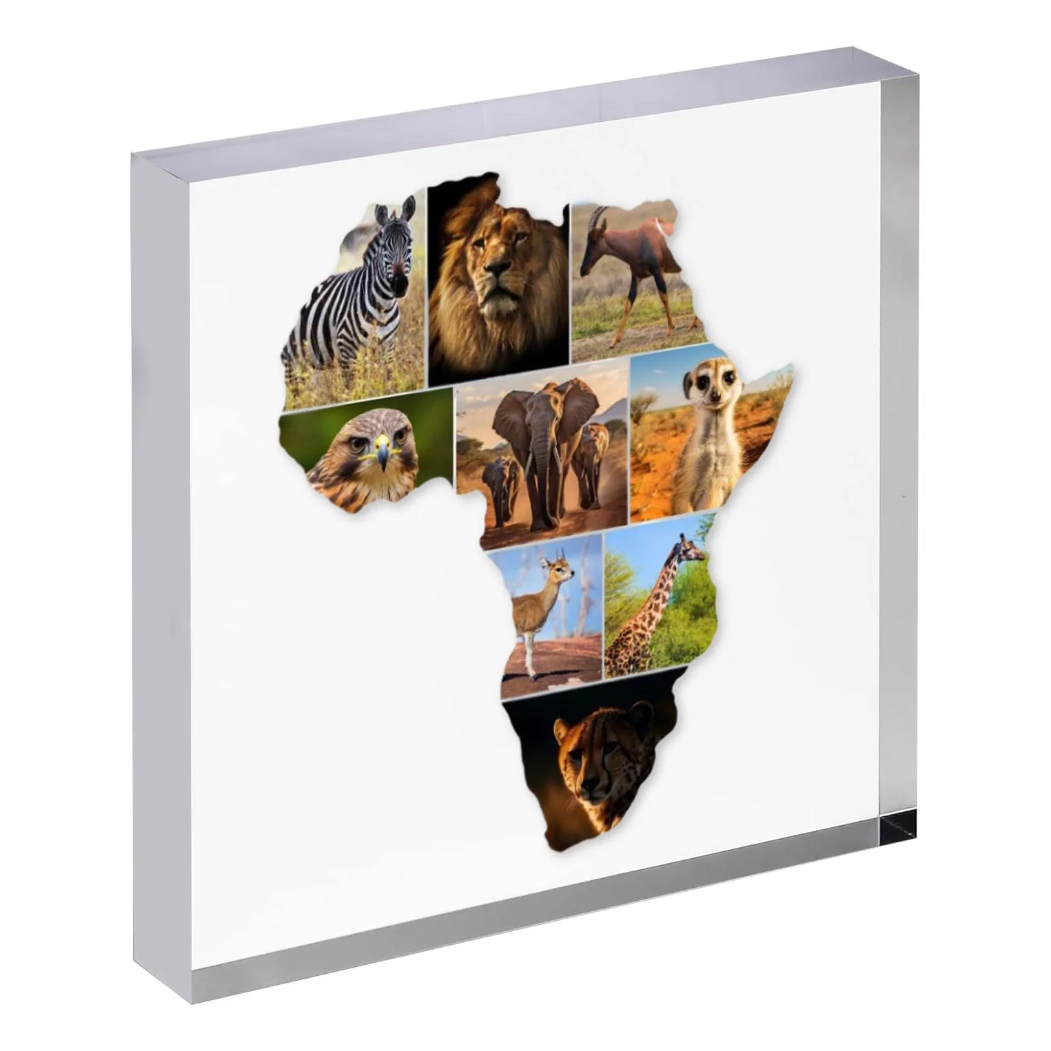 African Map Photo Collage on Acrylic, Slate, Mug or Magnet (9 Photos) - Image 3