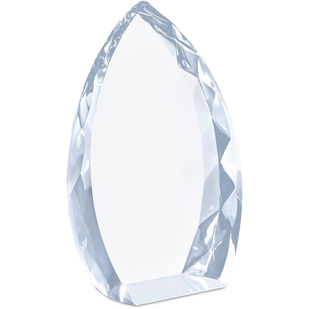 Altitude Trident Award - Image 6
