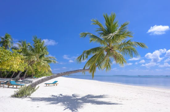 Beach Print (10) - Image 2
