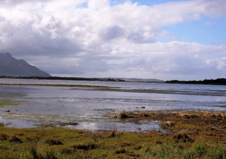 Bettys Bay - Image 2