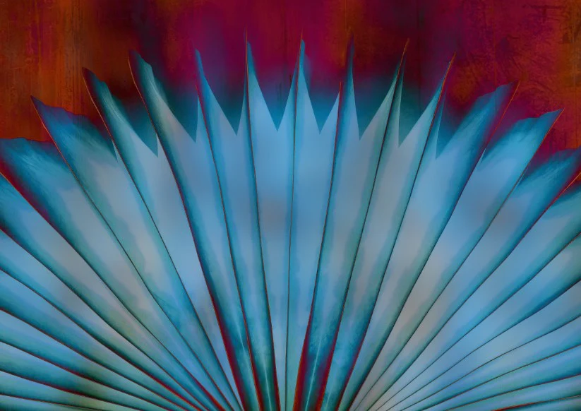 Blue Peacock - Image 2