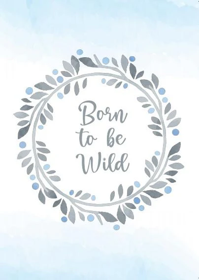 Boys: Set of 3 - Born to be wild grey animals - Image 3