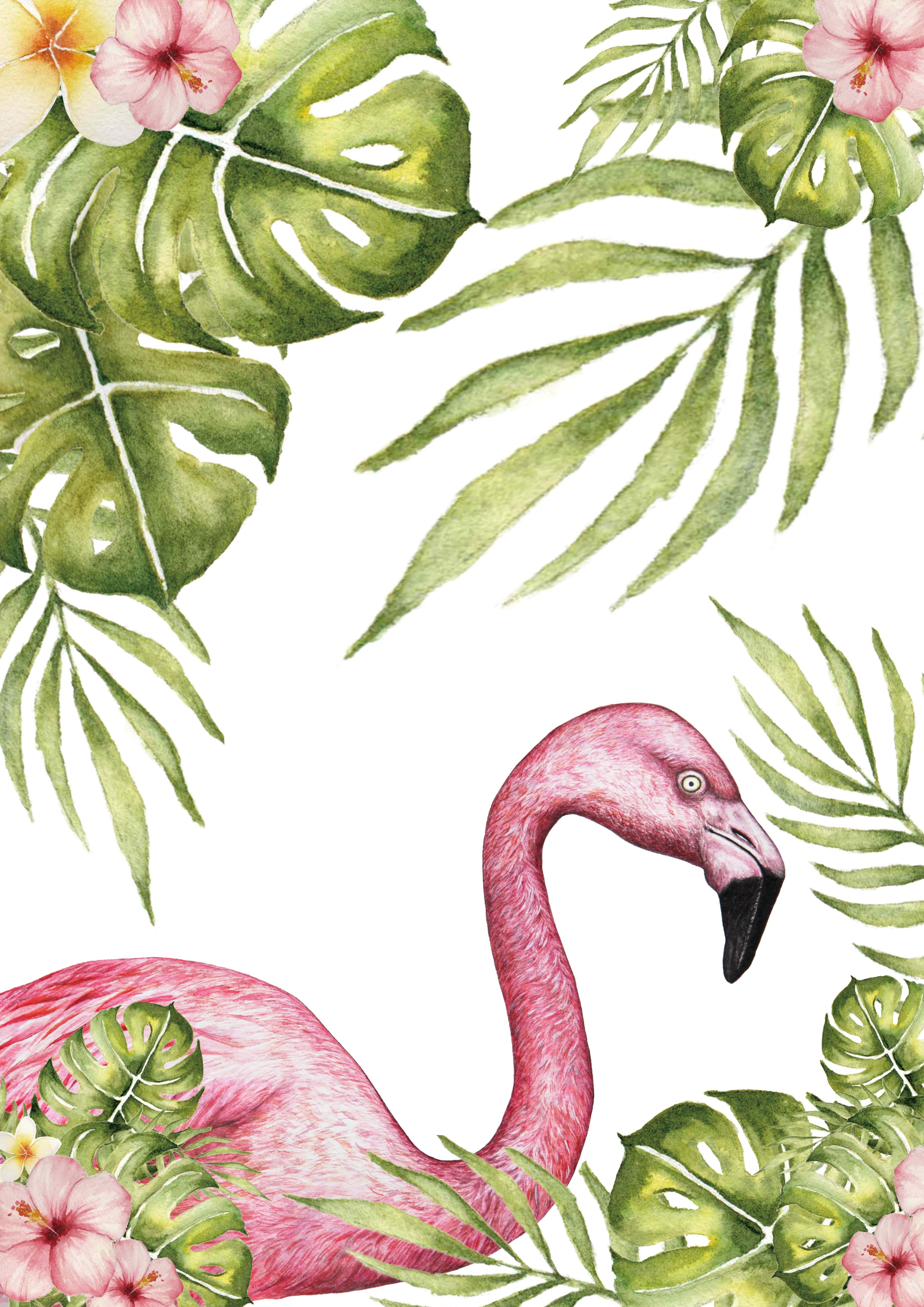 Flamingo - Image 2