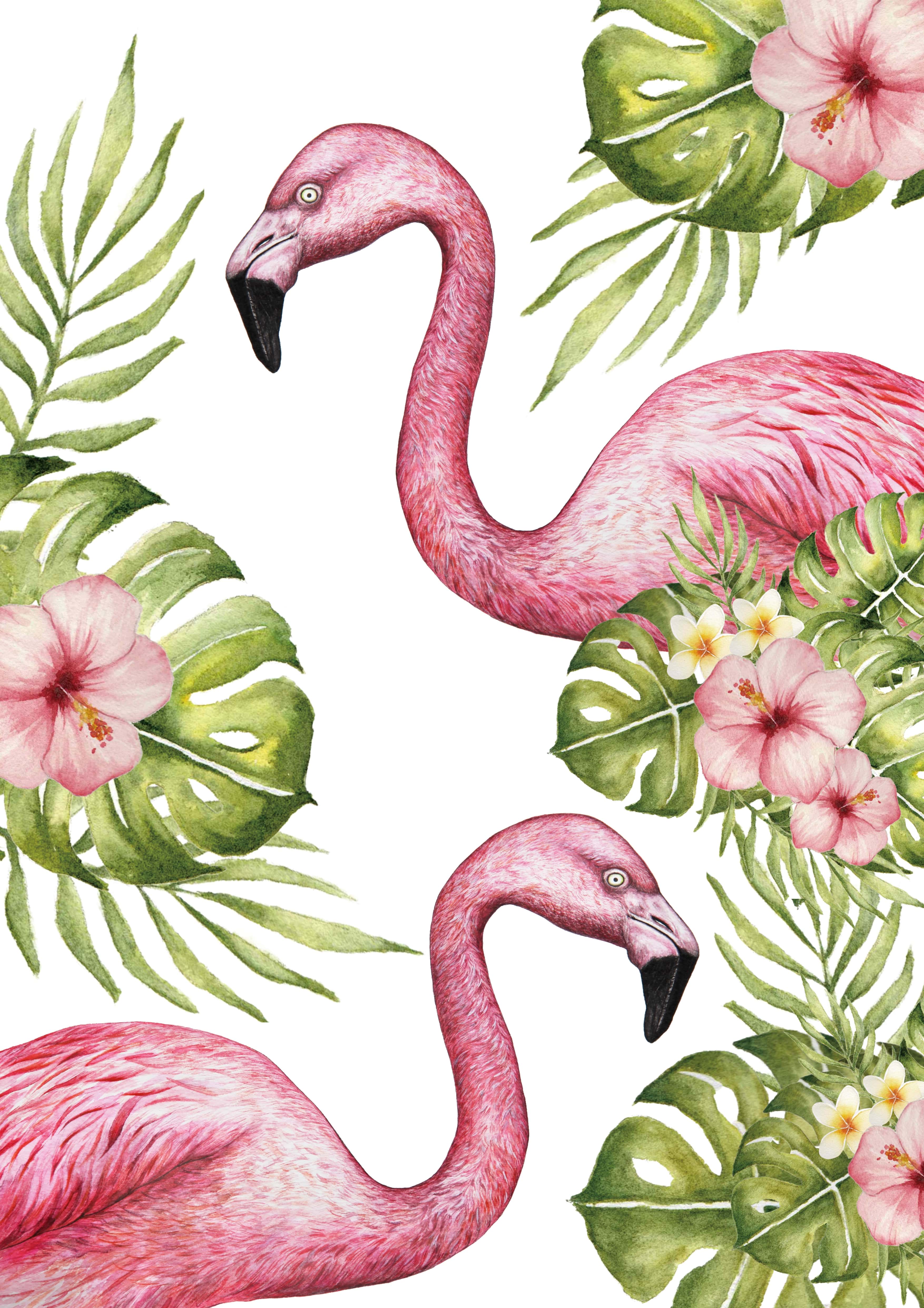 Flamingo - Image 3