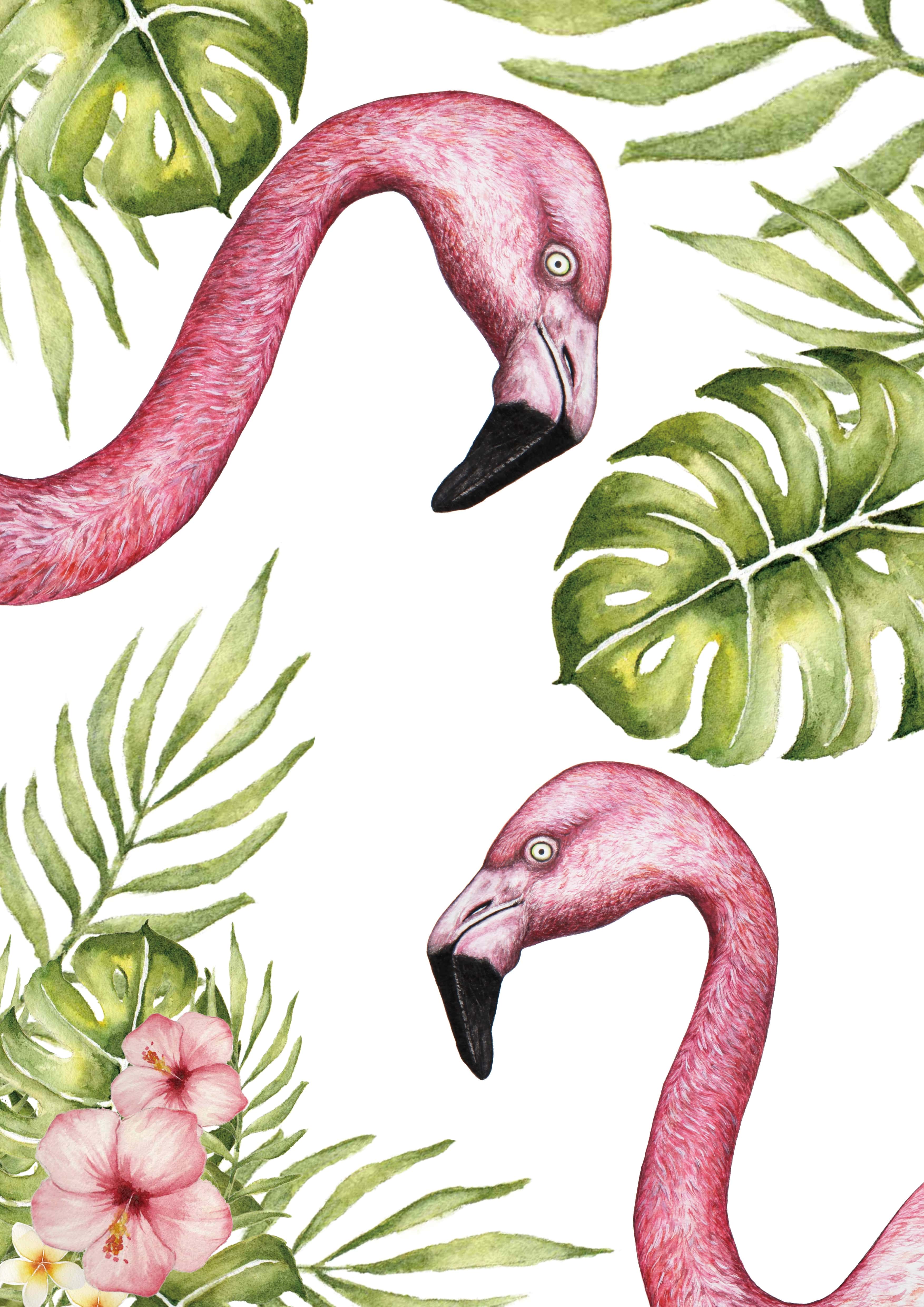 Flamingo - Image 4