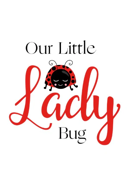 Girls Set of 3 - Our little lady bug - Image 3