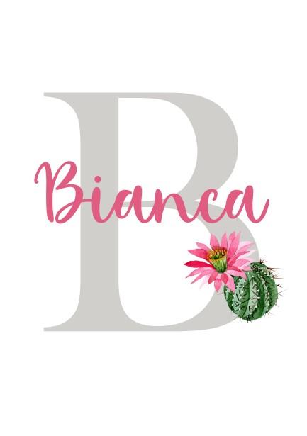 Girls: Set of 3 - Llama with a Cactus - Image 3