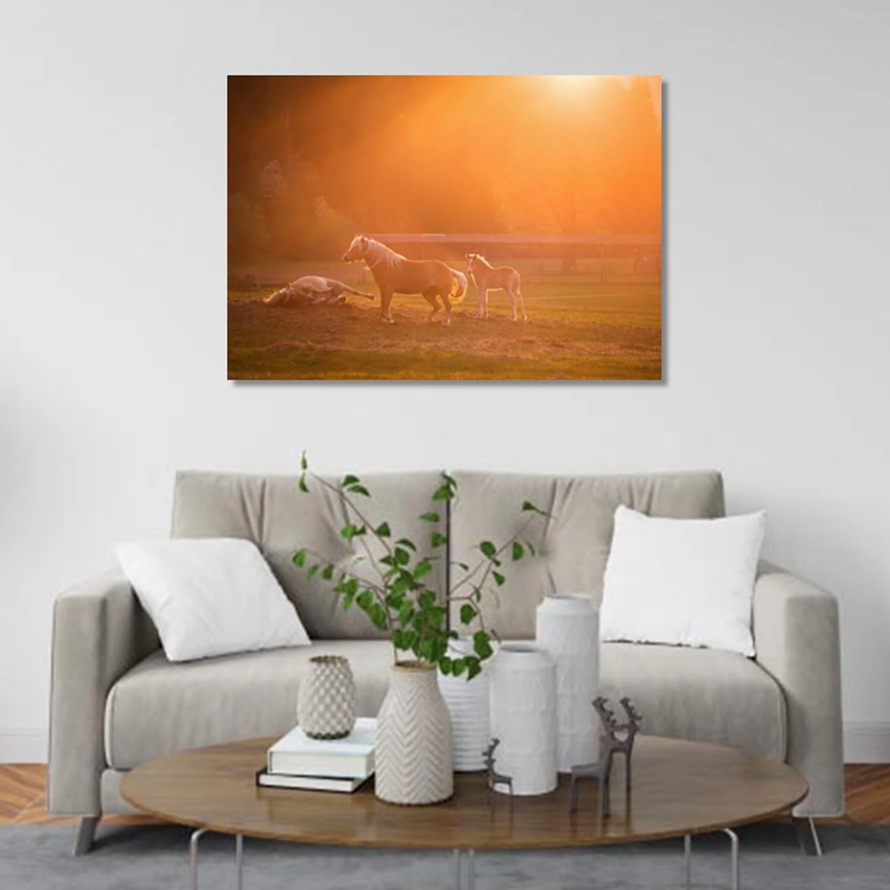 Horses in sunset light