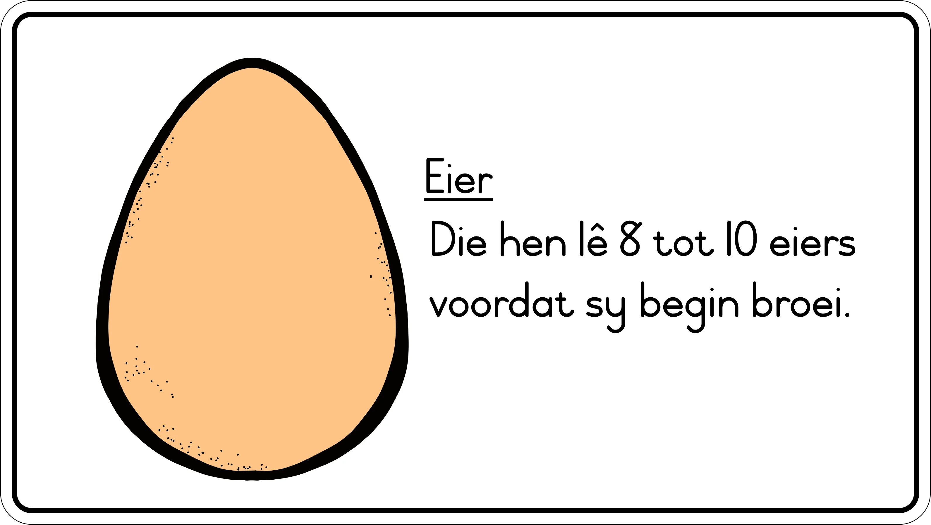 Lewensiklus van die hoender Fridge Magnets - (6 PER PACK) - Image 3
