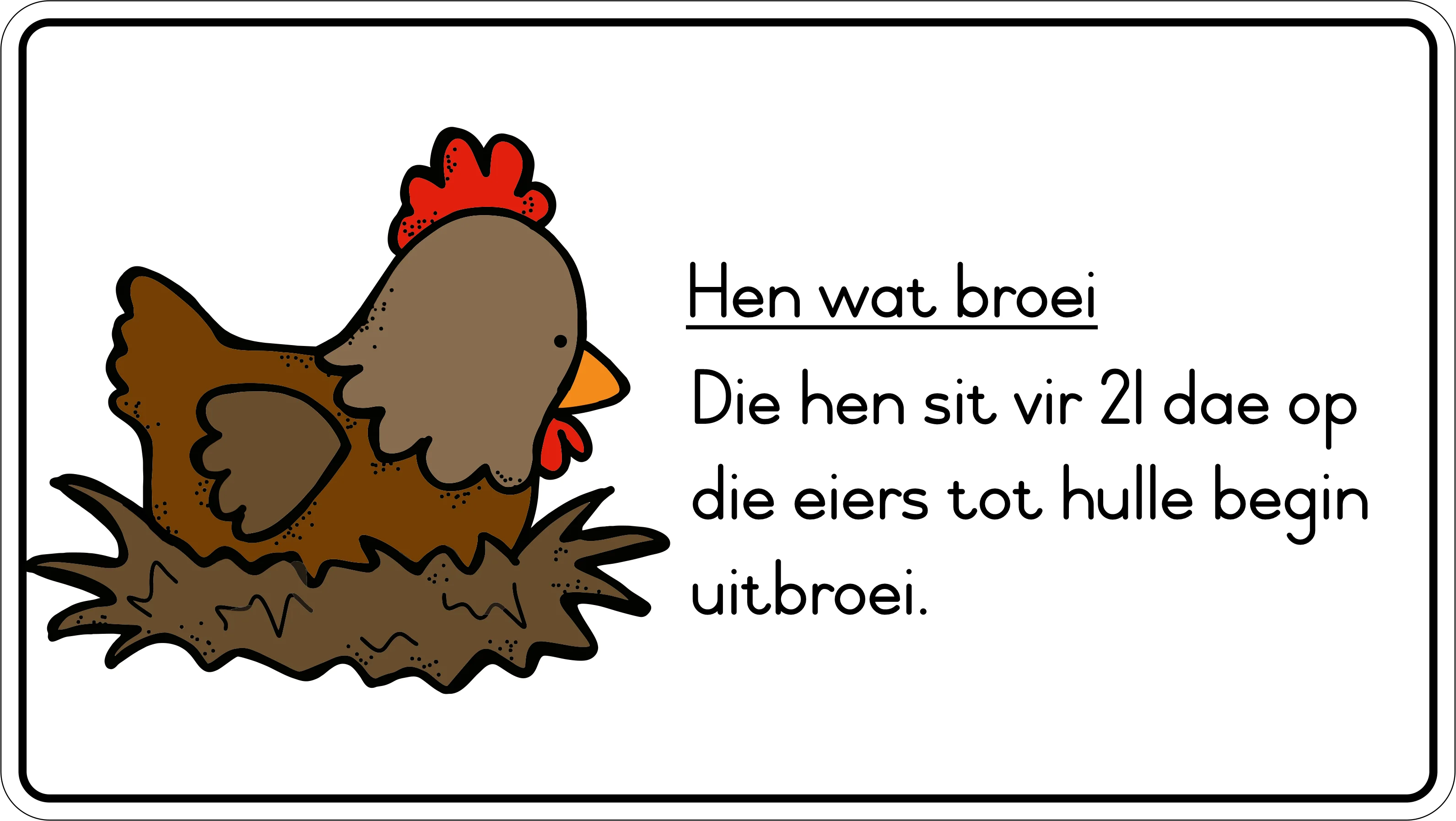 Lewensiklus van die hoender Fridge Magnets - (6 PER PACK) - Image 4