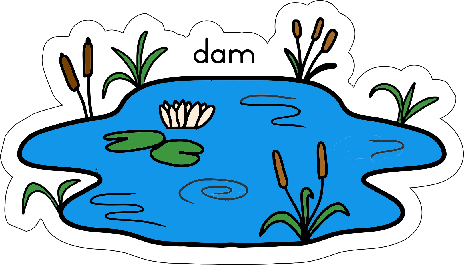 Lewensiklus van die padda Fridge Magnets - (12 PER PACK) - Image 2