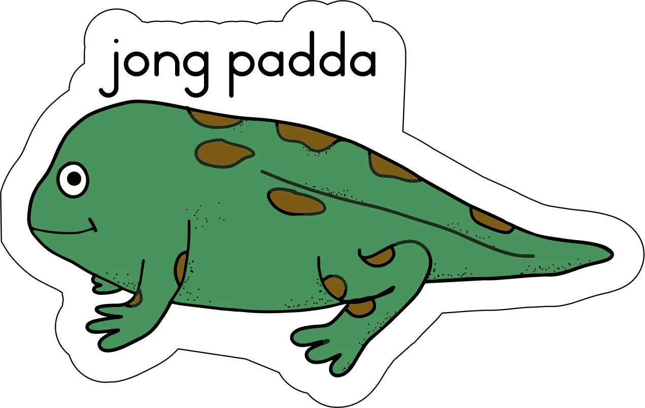 Lewensiklus van die padda Fridge Magnets - (12 PER PACK) - Image 3