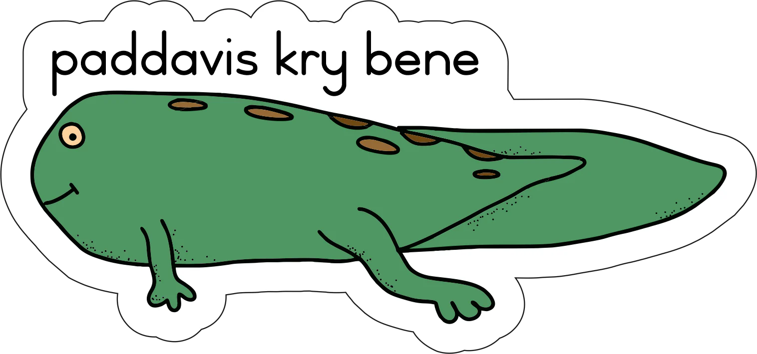 Lewensiklus van die padda Fridge Magnets - (12 PER PACK) - Image 6