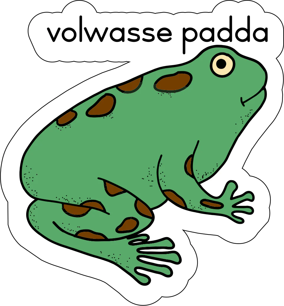 Lewensiklus van die padda Fridge Magnets - (12 PER PACK) - Image 9
