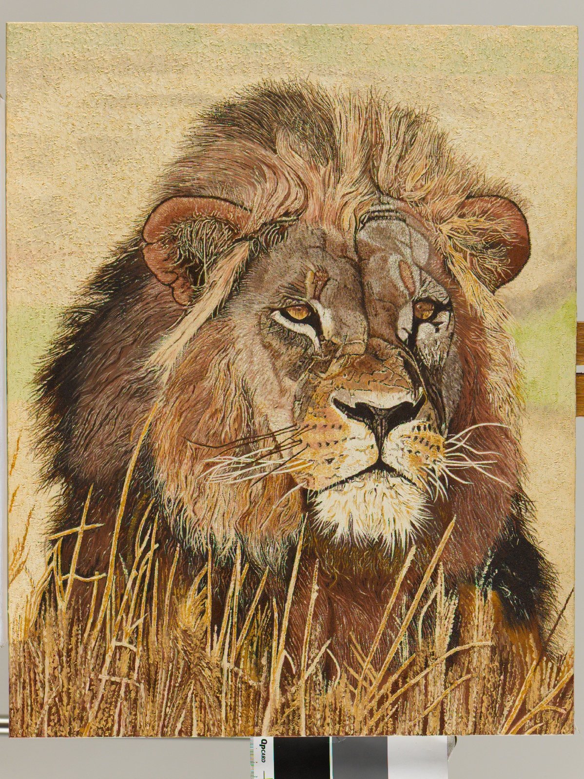 Male Lion Oil Painting