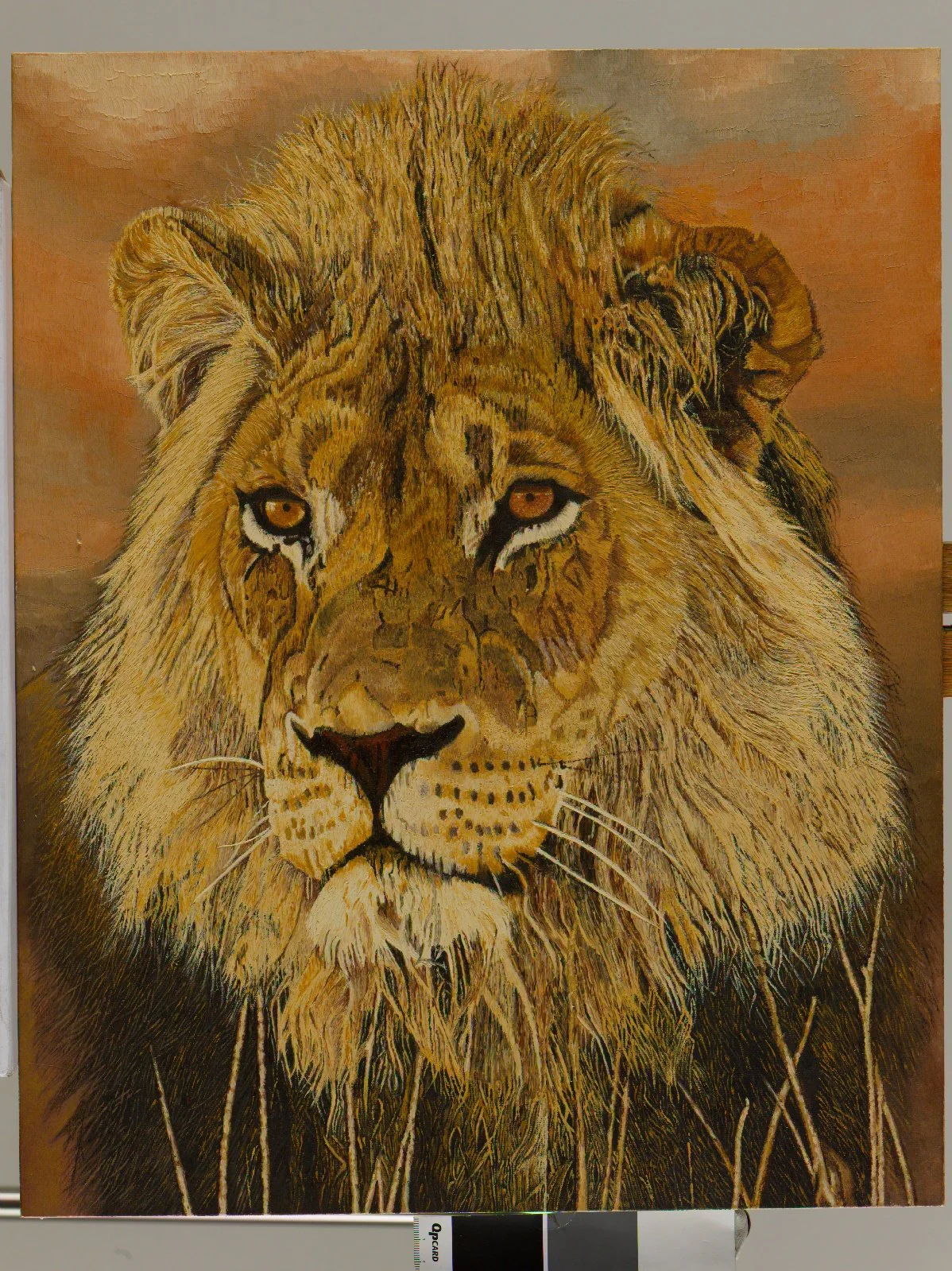 Male Lion Oil Painting