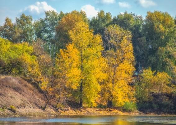 Autumn trees on the riverside - Image 2