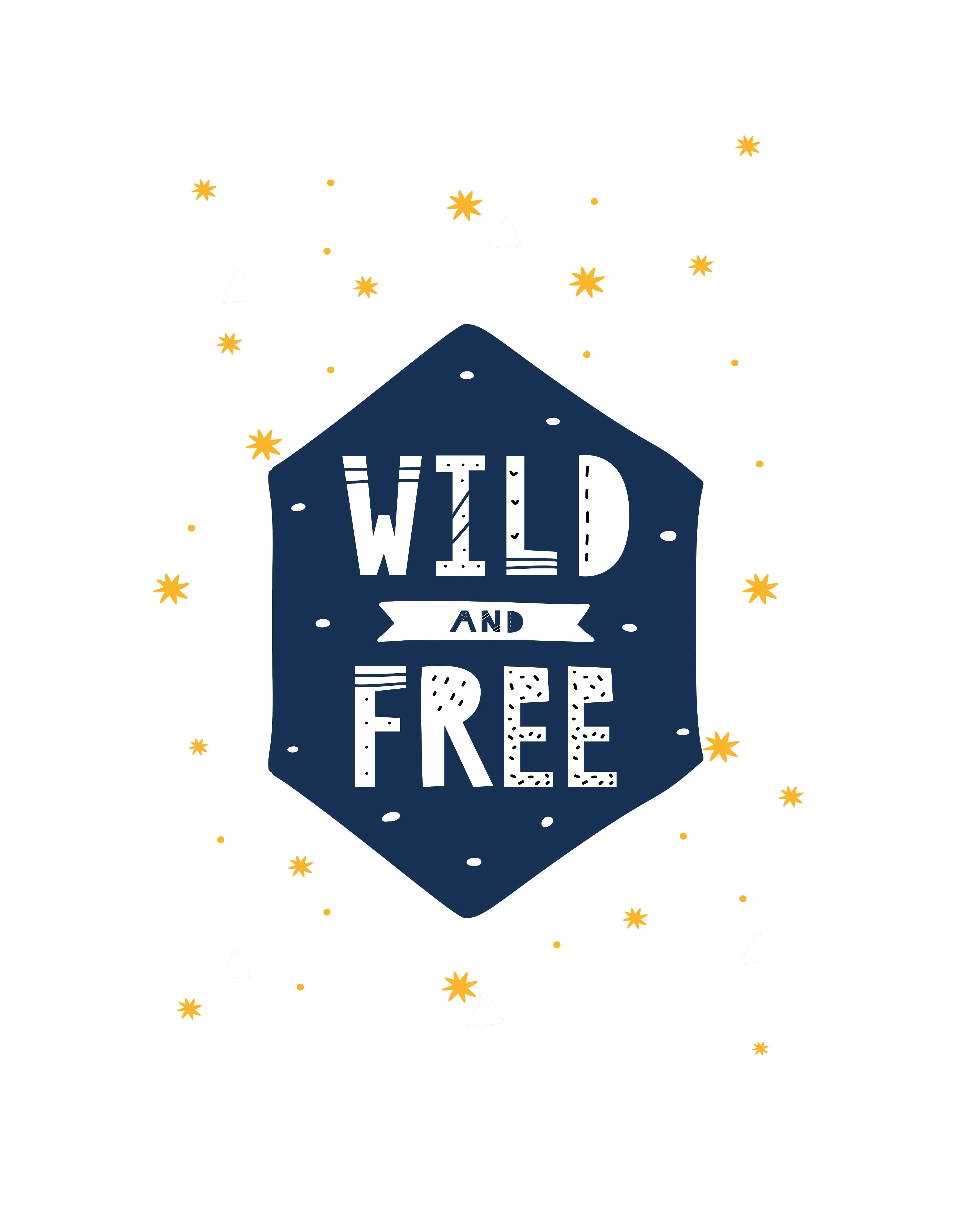 Boys: Set of 3 - Wild and Free - Image 3