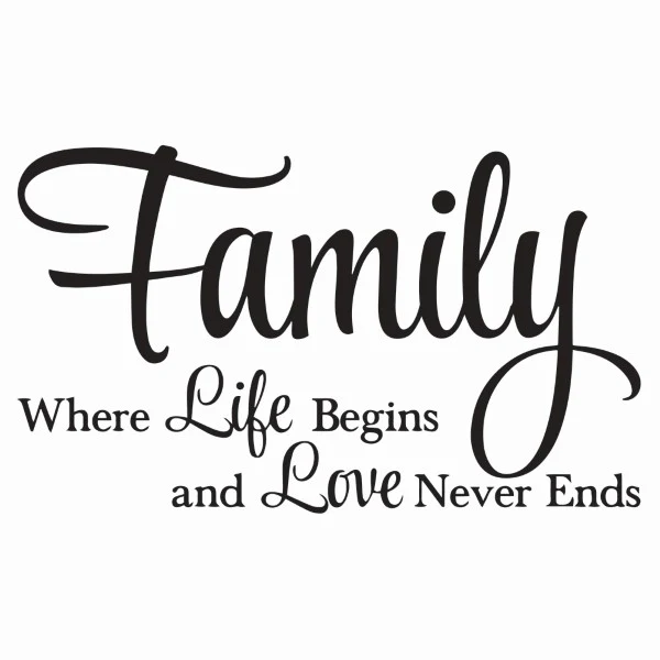 Large Vinyl Wall Art Sticker Quote: Family where life begins and love never ends - Image 2