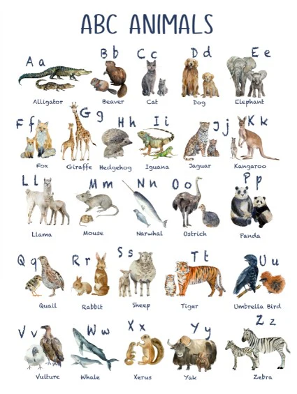 Unisex : Set of 1 - Watercolor ABC Animals - Image 2