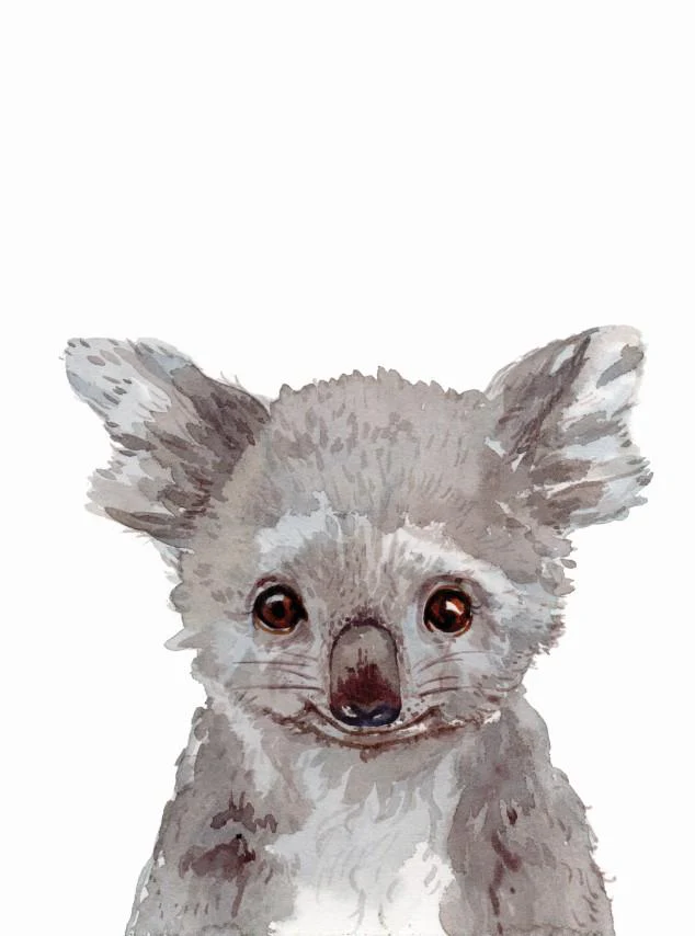 Unisex: Set of 1 - Watercolor Koala - Image 2