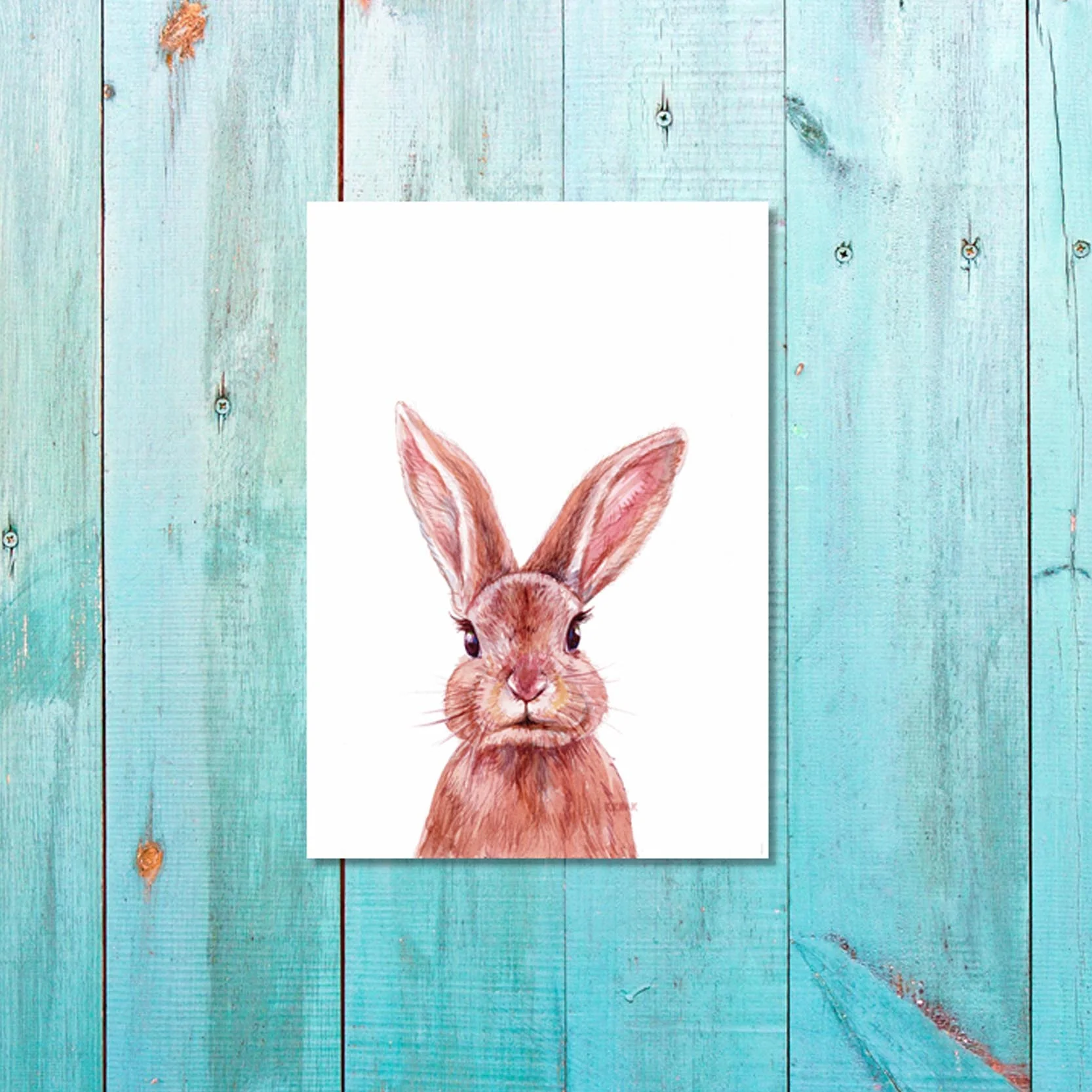 Unisex: Set of 1 - Watercolor Rabbit