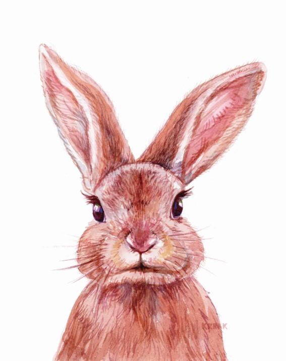 Unisex: Set of 1 - Watercolor Rabbit - Image 2