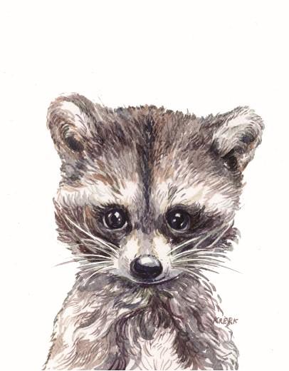 Unisex: Set of 1 - Watercolor Racoon - Image 2
