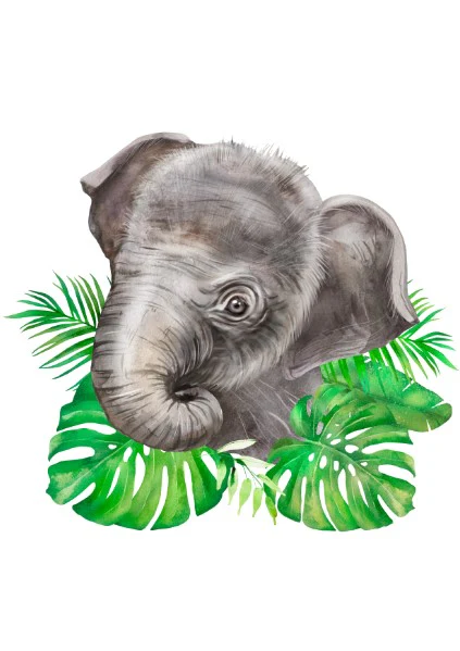 Unisex: Set of 3 - African Watercolor Baby Animals - Image 3