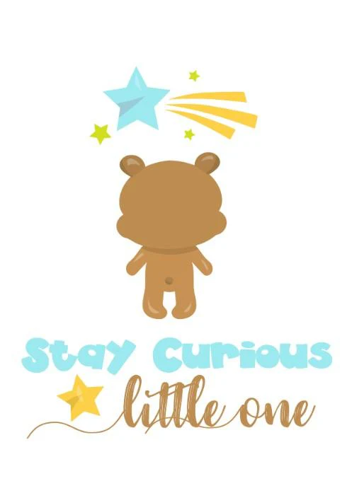 Unisex: Set of 3 - Stay curious little Bear (available in 3 colors) - Image 2