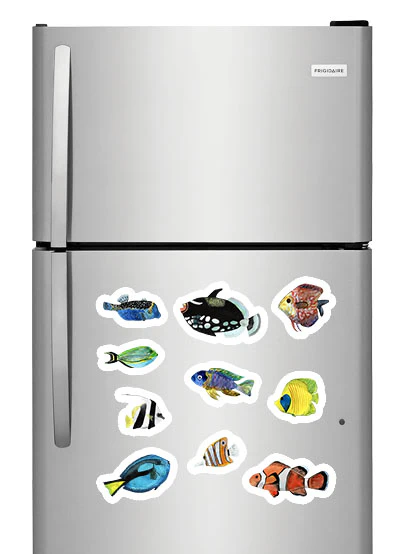 Watercolor Tropical Fish Photo Fridge Magnets - (10 PER PACK) - Image 2