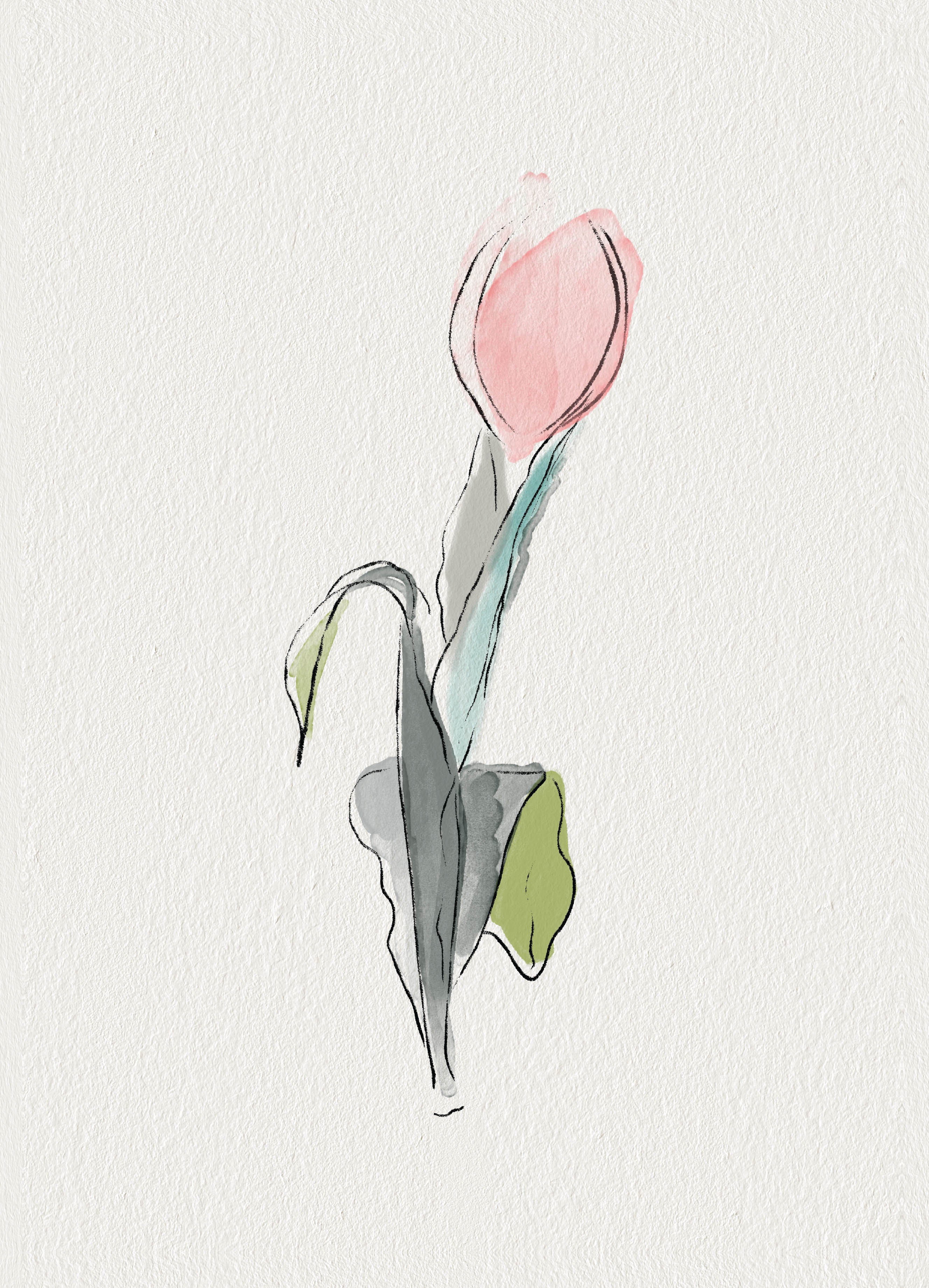 Watercolour Tulip - Image 2