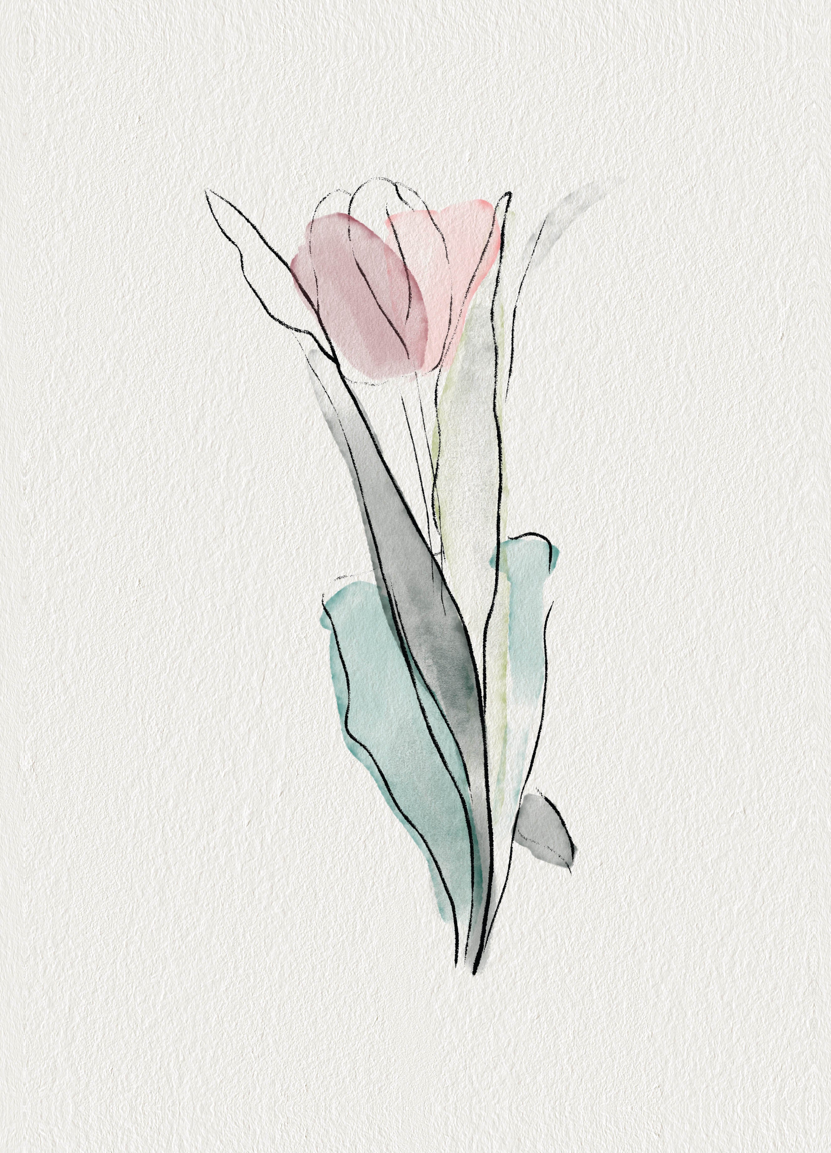 Watercolour Tulip - Image 3