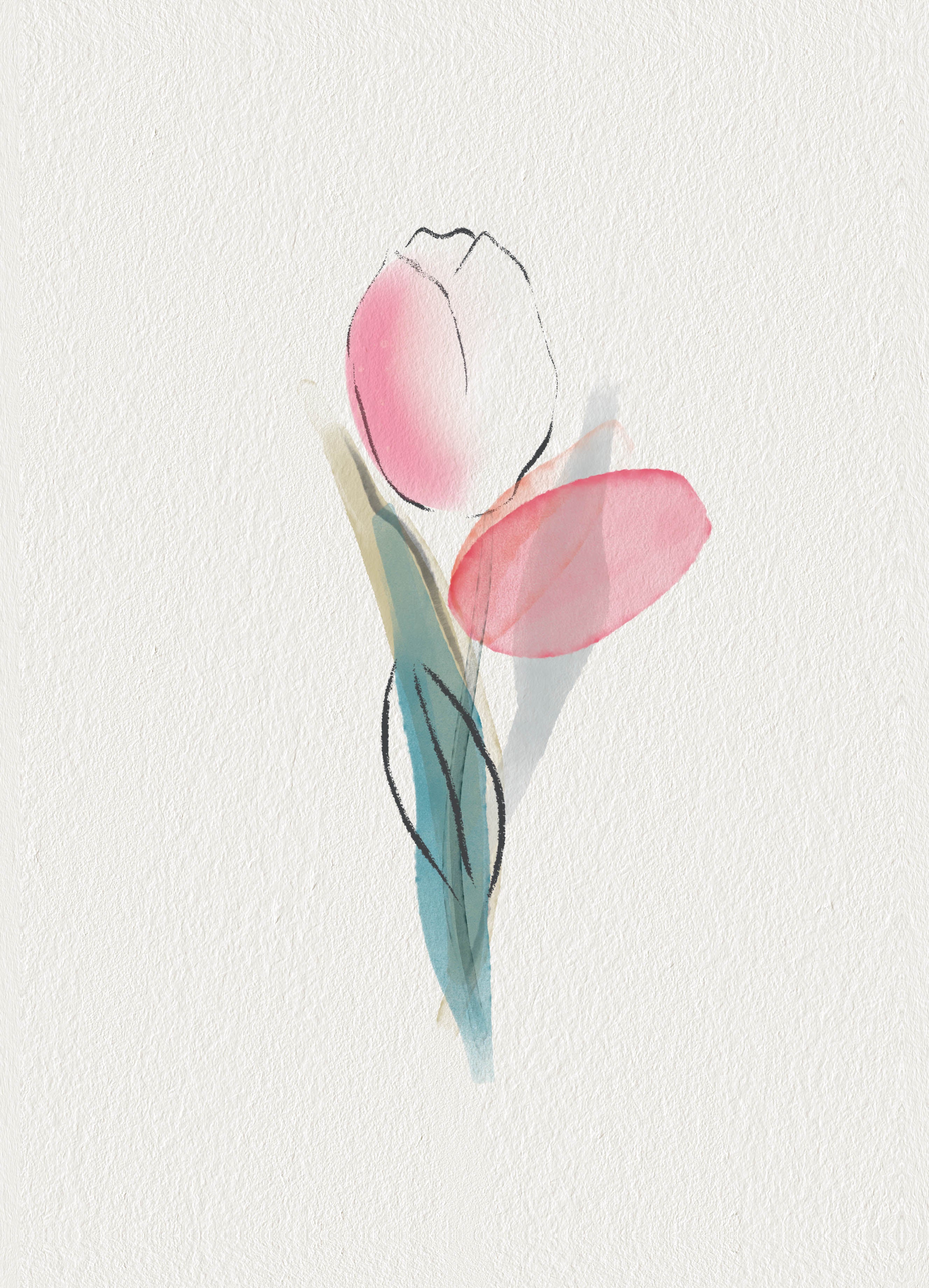 Watercolour Tulip - Image 4