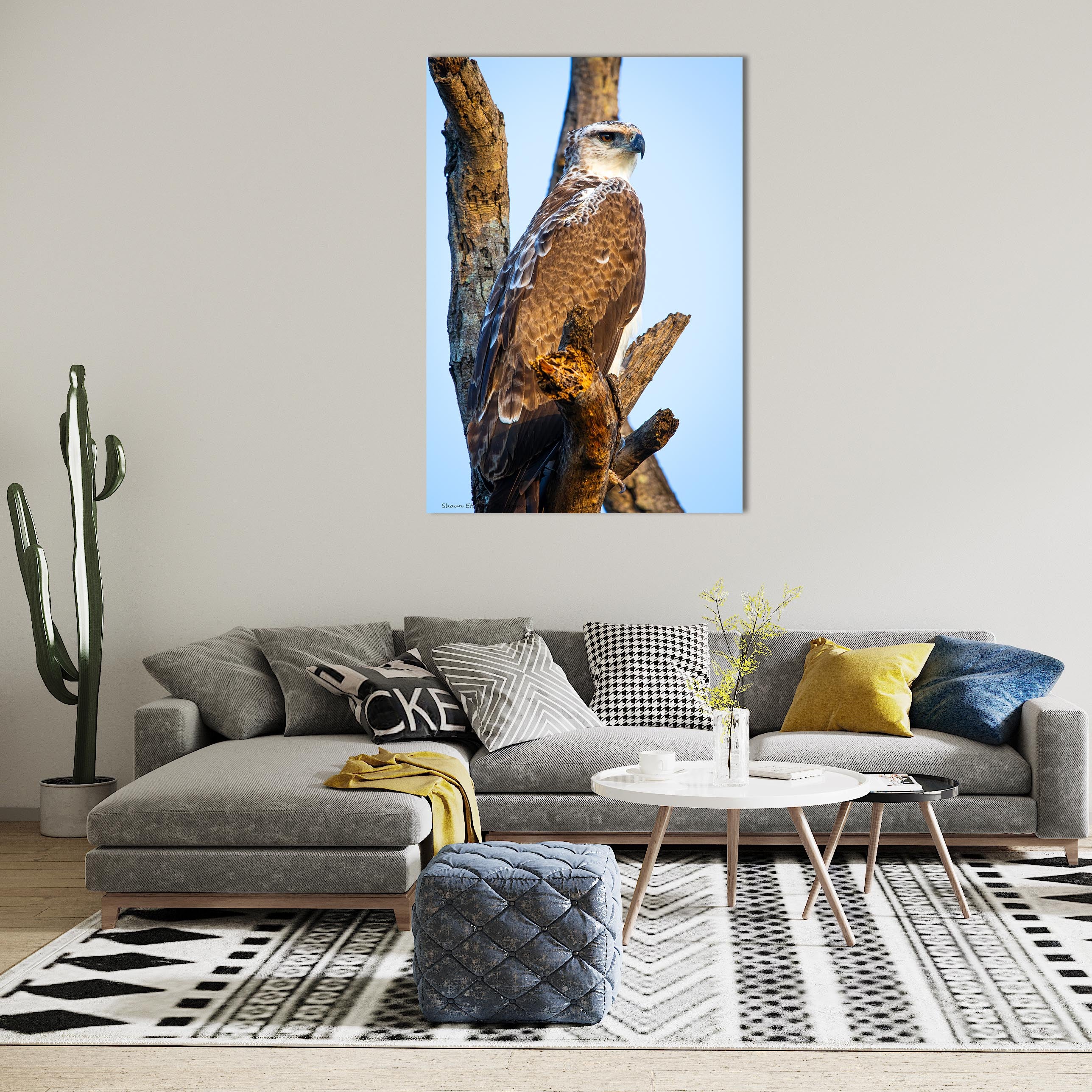 Wildlife Bird Print: 2